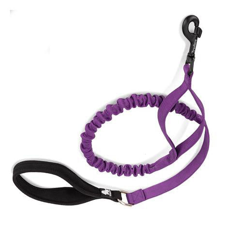 Dog Flexible Leash Cushioning Explosion-proof Buffering Elastic Rope Control Large Fiercely Strong dog