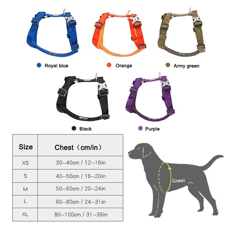 Nylon Designer Dog Collars And Harnesses Large Small Strong Soft