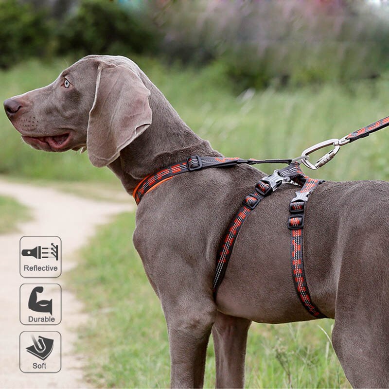 Pet Dog Harness Collar For Small Large Dogs Soft Escape Proof Dog Halter Adjustable Harnais Truelove Chien Odblaskowe