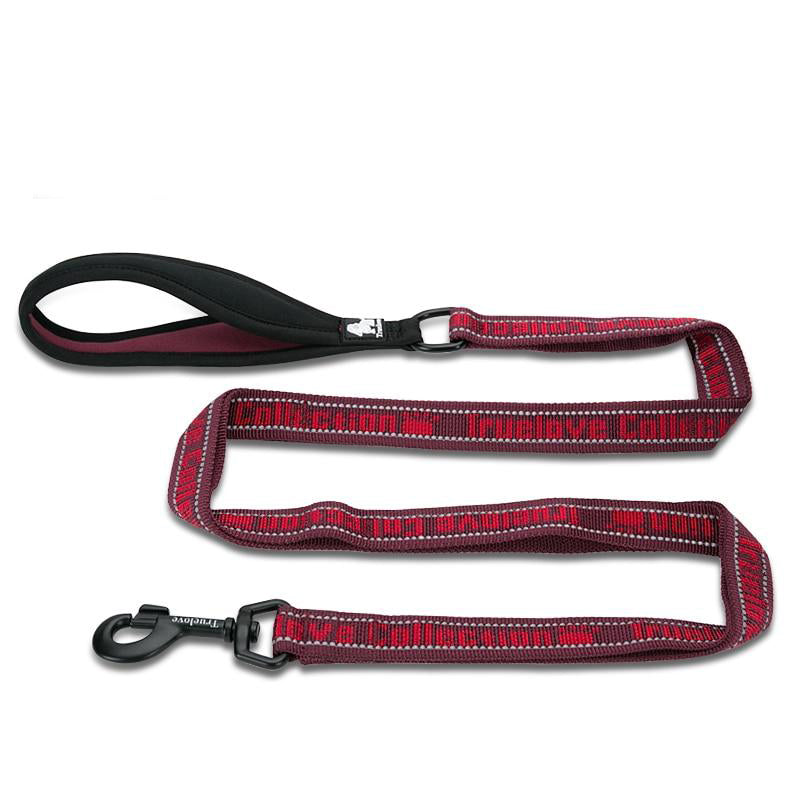 Pet Leash Nylon Explosion-proof Reflective for Cat  and Dog Small Medium Large Travel Cross Walking Training TLL3071