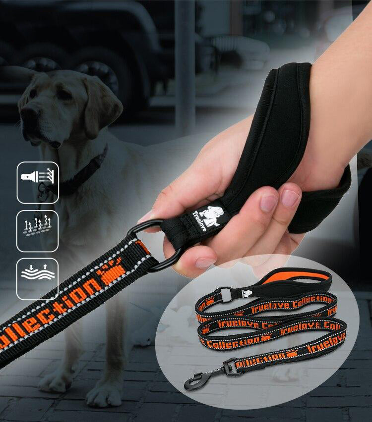 Pet Leash Nylon Explosion-proof Reflective for Cat  and Dog Small Medium Large Travel Cross Walking Training TLL3071