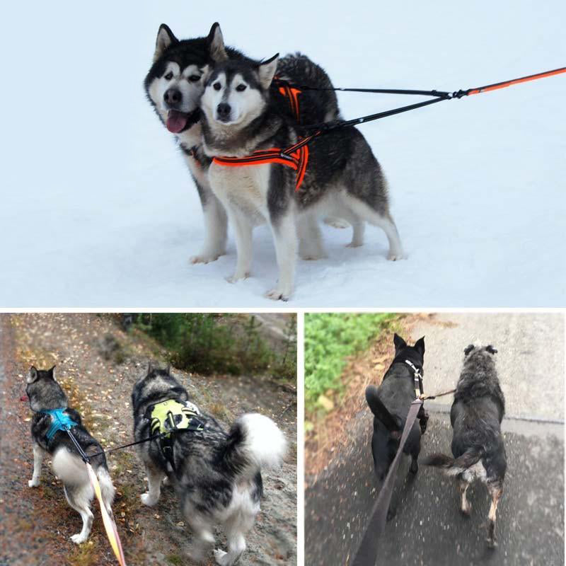 Reflective Double Dog Leash Couple Dual Durable Adjustable Leash for Walking Training Small Medium Large Dogs