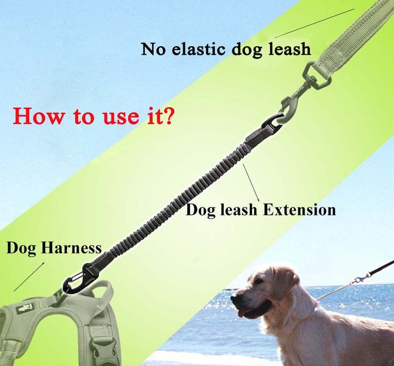 Short Bungee Dog Leash For Dogs Nylon Leash Retractable Extension In Elastic Bungee Buffer Dog Running Walking Training