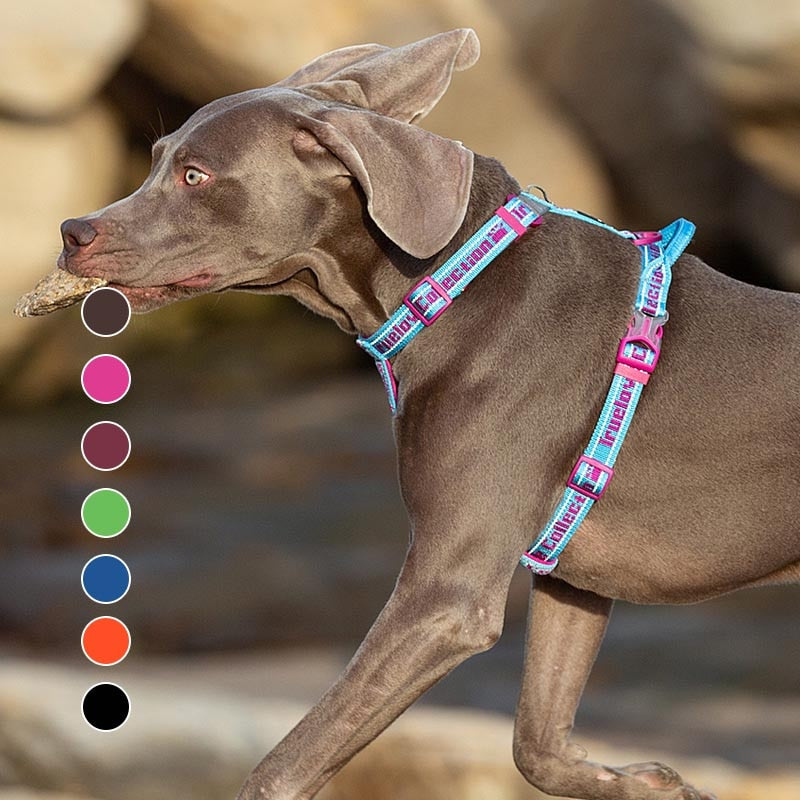 Soft Padded Dog Harness Easy On And Off Nylon Adjustable Car Pet Harness Belt Reflective For Outdoor Training Walking