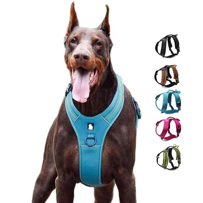 Sport Nylon Reflective No Pull Dog Harness Outdoor Adventure Pet Vest With Handle XS To XL 5 Colors In Stock Factory