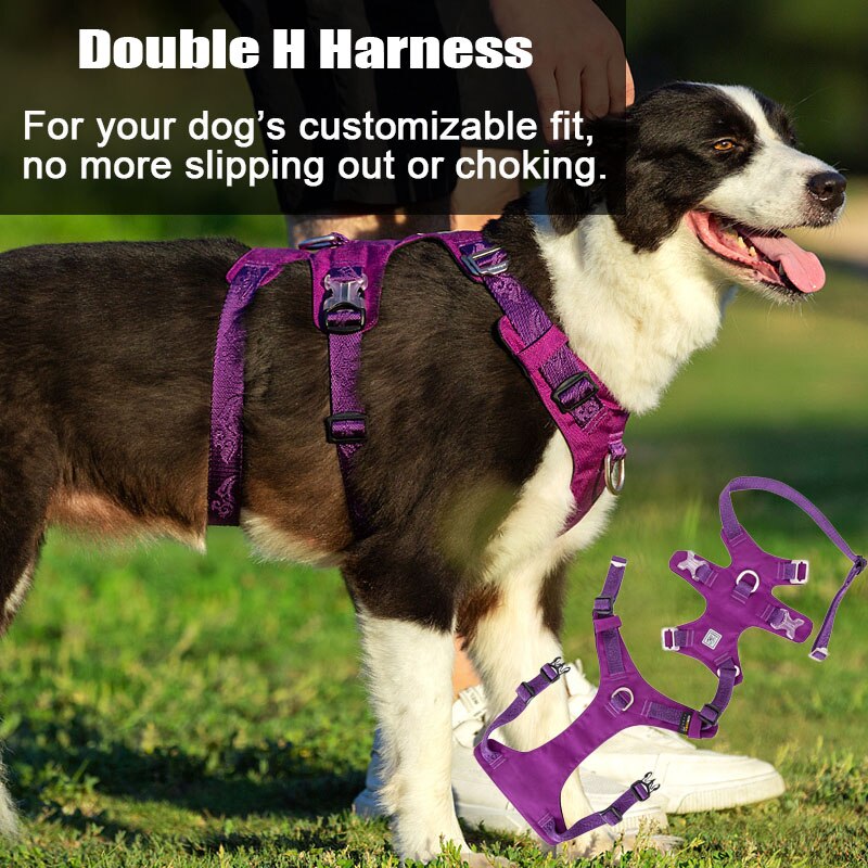 Waterproof Harness Dog Big No Pull Escape Proof Designer Pet Dog Harne