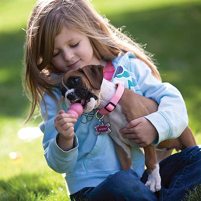 Puppy Dog Toy with Your Choice of Dog Treat