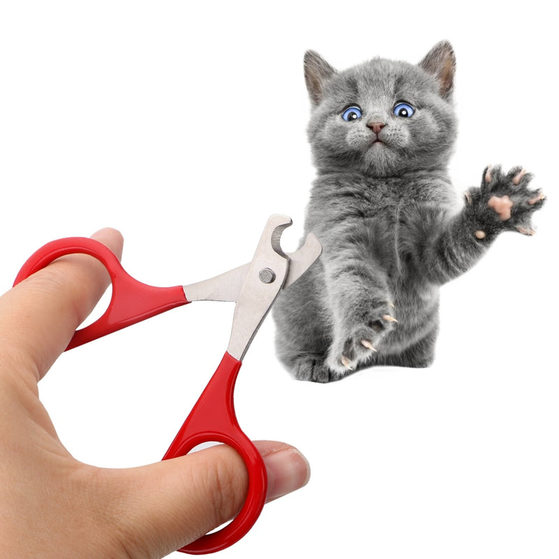 Pet Products Pet Accessories Pet Claw Care Tools Claw Clippers Dog Scissors For Nails Cat Cleaning Tools Dog Supplies