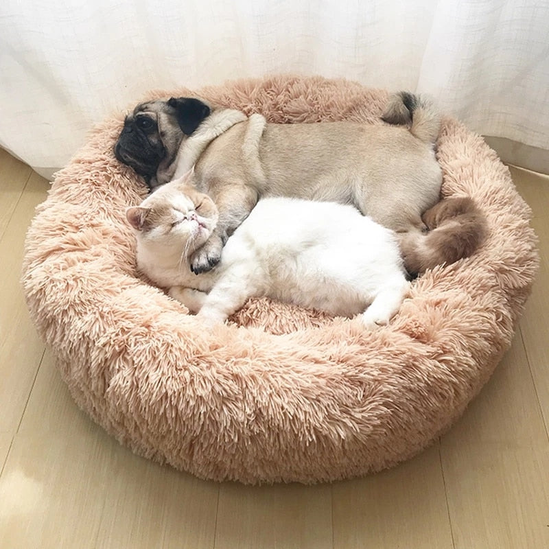 Super soft plush dog cat bed mattresses various outdoor round big dog bed sleeping pad pet accessories