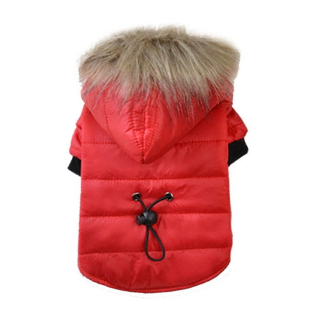 Petgoo Winter Pet Dog Clothes Warm Jacket Thicker Cotton Coat For Chihuahua