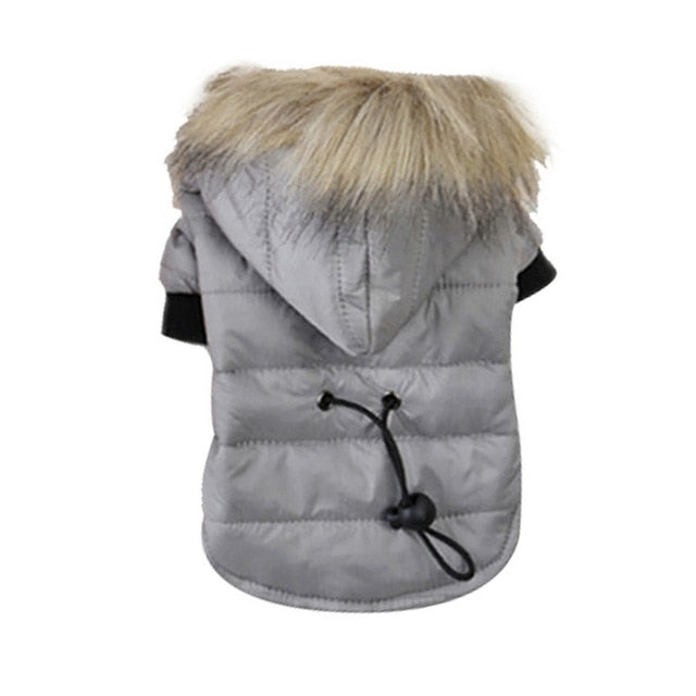 Petgoo Winter Pet Dog Clothes Warm Jacket Thicker Cotton Coat For Chihuahua